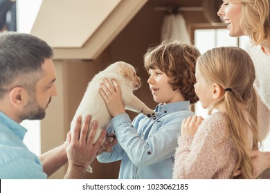 Young Family With Little Labrador Puppy In Front Of Cardboard House