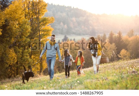 Similar – Image, Stock Photo Together Animal family