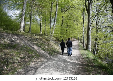 Young Family Walking In A Danish Spring Beech Forest.