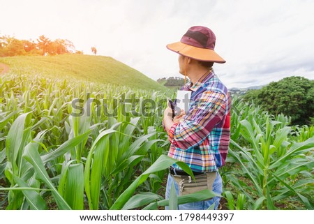 Young farmer checking his corn field on mountain farm