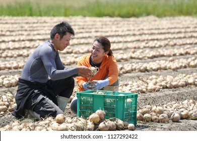 A Young Farmer Couple Harvesting Onions