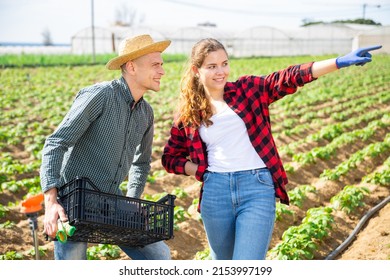 Young Farmer Couple Standing On Vegetable Farm Field During Spring Works, Talking About Some Current Issues