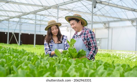 A Young Farmer Couple Working In Hydroponic Greenhouse Farm, Clean Food And Healthy Eating Concept