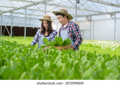 A Young Farmer Couple Working In Hydroponic Greenhouse Farm, Clean Food And Healthy Eating Concept