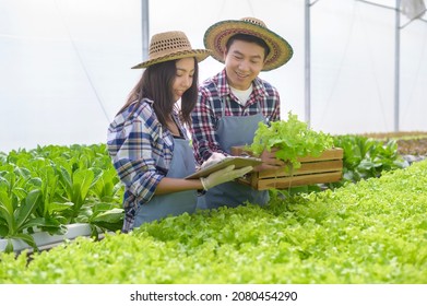 A Young Farmer Couple Working In Hydroponic Greenhouse Farm, Clean Food And Healthy Eating Concept