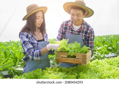 A Young Farmer Couple Working In Hydroponic Greenhouse Farm, Clean Food And Healthy Eating Concept