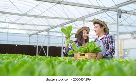 A Young Farmer Couple Working In Hydroponic Greenhouse Farm, Clean Food And Healthy Eating Concept