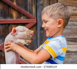 Young farmer - cute boy holding white piglet on a farm - Powered by Shutterstock