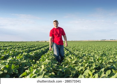 Young Farmer In Soybean Fields 