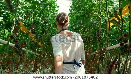 Similar – Image, Stock Photo Young girl picking cherries in the garden