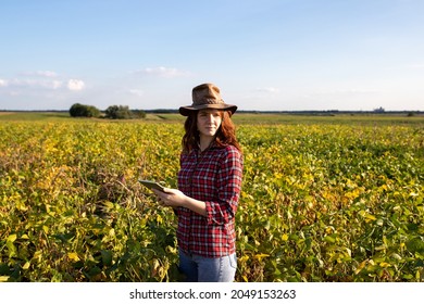 Young Farmer Woman With Hat And Plaid Shirt Standing In Soy Field In Summer Time, Holding Tablet And Monitoring Crop Growth