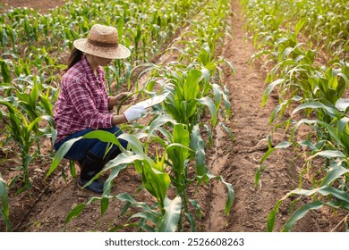 Young farmer woman using digital tablet computer inspects growing corn while sitting in young cornfield. - Powered by Shutterstock