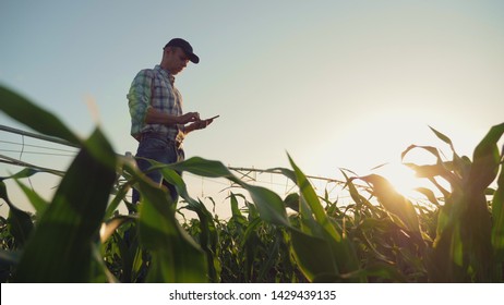 Young farmer working in a cornfield, inspecting and tuning irrigation center pivot sprinkler system on smartphone. - Shutterstock ID 1429439135