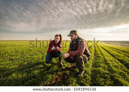 Young farmers examing planted young wheat during winter season