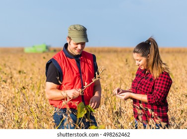  Young Farmers In Soybean Fields Before Harvest