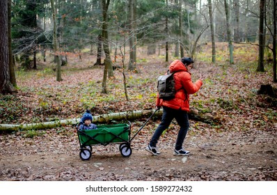 Young Father Walks With A Child In A Wagon In The Forest