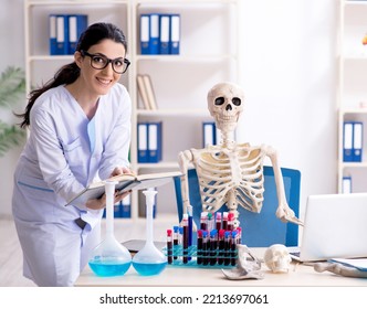 Young Female Archaeologist Working In The Lab