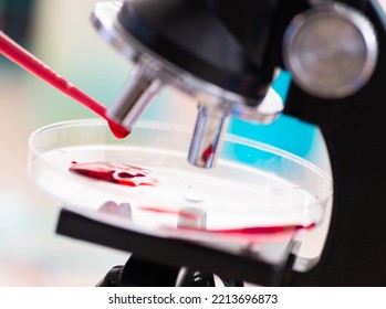 Young Female Chemist Working In The Lab