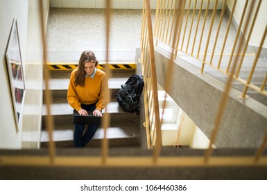 Young Female College Student Sitting On Stairs At School, Writing Essay On Her Laptop. Education Concept. View From Above.