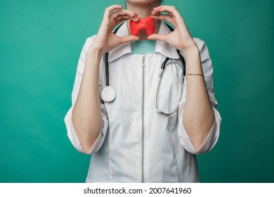 A young female doctor holds a model of a person's thyroid in her hands. The concept of protection and treatment - Shutterstock ID 2007641960