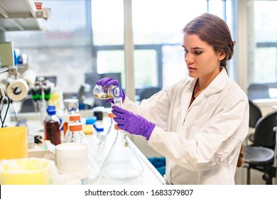 Young female doctor physician, nurse, student or researcher in white gown and gloves pours liquid or analysis from bottle into test-tube in laboratory of hospital, clinic, medical center or university - Powered by Shutterstock