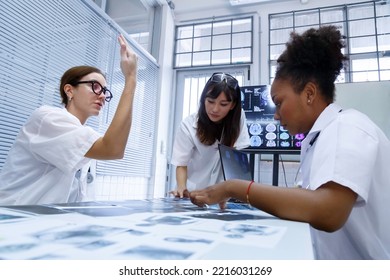 Young Female Doctor Student Internship Team Group Meeting And Discussing About Brain Cancer Surgery Treatment Patient Case At The Lab Office In Hospital. Healthcare And Medical Education Concept.