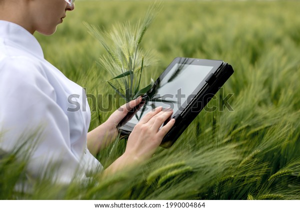 Young female\
ecologist scientist in goggles standing in green field and working\
on glass transparent\
screen.