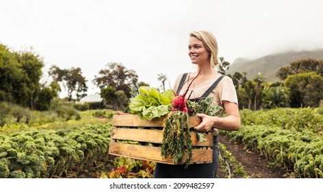 Young female farmer holding a box with fresh vegetables. Happy female organic farmer smiling cheerfully after harvesting fresh produce from her garden. Successful female farmer standing on her farm.