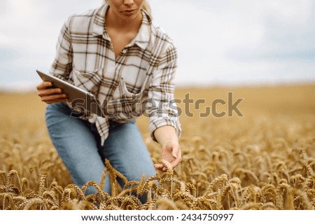Young Female farmer with tablet in the field. Harvesting. Agribusiness. Gardening concept. Growth dynamics.