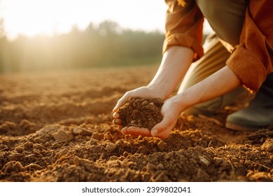 Las manos de una joven agricultora tocan tierra seca en un campo agrícola. Una agrónoma se clasifica a través del suelo negro, revisando la calidad del suelo antes de sembrar. El concepto de jardinería y ecología.