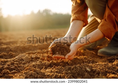 Young female farmer's hands touch dry soil in an agricultural field. A woman agronomist sorts through the black soil, checking the quality of the soil before sowing. Gardening and ecology concept.