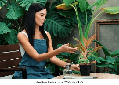 Young female gardener tending and cultivate to tropical plant in minimalist architectural concrete style summer exotic plant foliage garden, home gardening for environmentalist lifestyle. Blithe - Shutterstock ID 2393897189