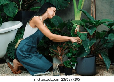 Young female gardener tending and cultivate to tropical plant in minimalist architectural concrete style summer exotic plant foliage garden, home gardening for environmentalist lifestyle. Blithe - Shutterstock ID 2393897205