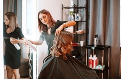 Young Female Hairdresser Fixing Hair Of Gorgeous Smiling Woman With Hairspray. Hairdress And Beauty Concept