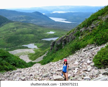 Gros Gorseller Stok Fotograflar Ve Vektorler Shutterstock