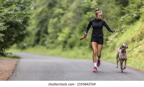 Young Female Holding Leash Releases Her Dog On An Empty Road During Jogging.