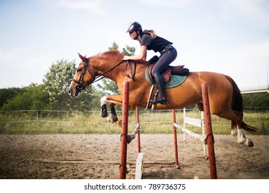 Young Female Jockey On Horse Leaping Over Hurdle