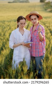 Young Female Lab Technician In White Coat And Female Farmer Checking Harvest Progress On Tablet In Green Wheat Field. A New Crop Of Wheat Is Growing. Agriculture And Farm Concept.