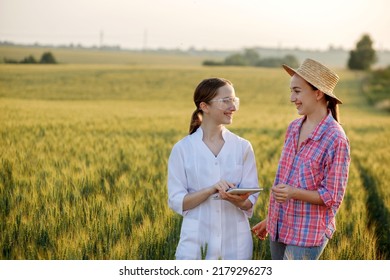 Young Female Lab Technician In White Coat And Female Farmer Checking Harvest Progress On Tablet In Green Wheat Field. A New Crop Of Wheat Is Growing. Agriculture And Farm Concept.