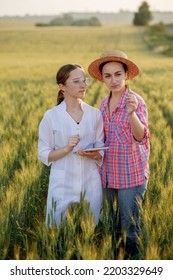 Young Female Lab Technician In White Coat And Female Farmer Checking Harvest Progress On Tablet In Green Wheat Field. A New Crop Of Wheat Is Growing. Agriculture And Farm Concept.