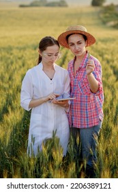 Young Female Lab Technician In White Coat And Female Farmer Checking Harvest Progress On Tablet In Green Wheat Field. A New Crop Of Wheat Is Growing. Agriculture And Farm Concept.