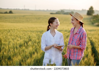 Young Female Lab Technician In White Coat And Female Farmer Checking Harvest Progress On Tablet In Green Wheat Field. A New Crop Of Wheat Is Growing. Agriculture And Farm Concept.