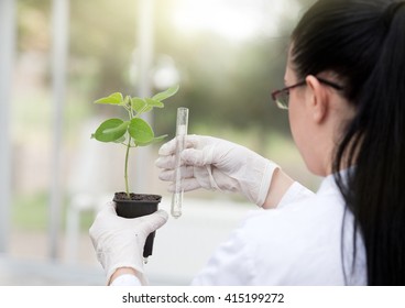 Young female scientist holding sprout in flower pot and test tube. Biotechnology and gmo concept - Powered by Shutterstock