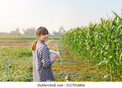 A Young Female Smart Farmer With Tablet On Field,High Technology Innovations And Smart Farming