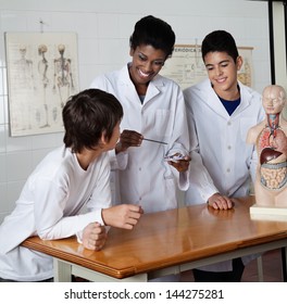 Young Female Teacher Teaching Experiment To Male High School Students At Desk In Science Lab