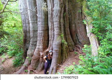 A young female tourist standing beside a huge old red cedar along the big tree trail on Meares Island, outside Tofino, British Columbia, Canada.