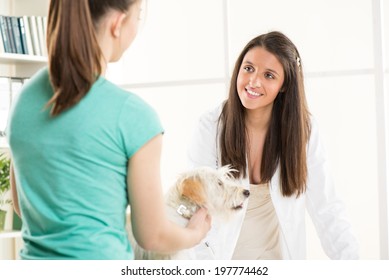 Young Female Vet With A Cute Beautiful Dog And Owner.