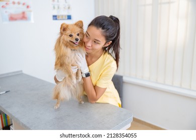 Young Female Veterinarian Taking Care Of Dog In Clinic