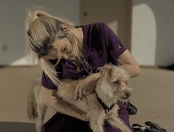 A Young Female Veterinary Technician Is Demonstrating A Canine Restraint Technique.