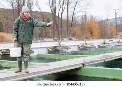 Young Female Worker Feeding Fish On Sturgeon Farm 